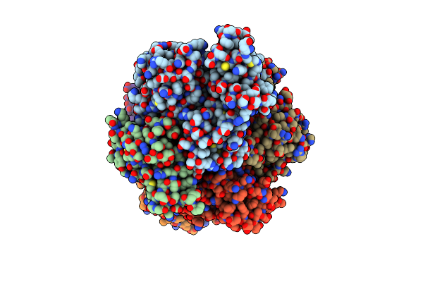 4FMC image