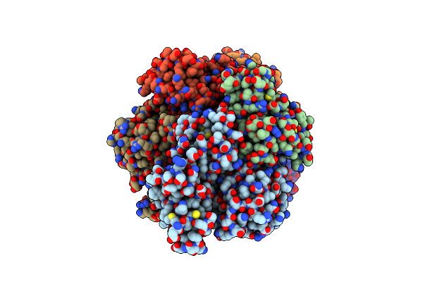 4FMD image