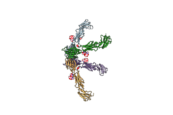 4FMF image