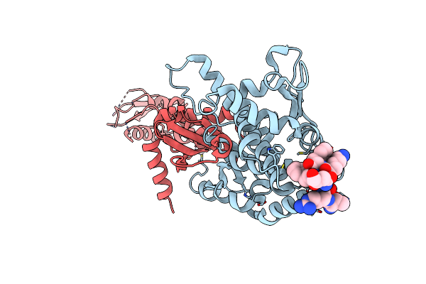 4FMO image