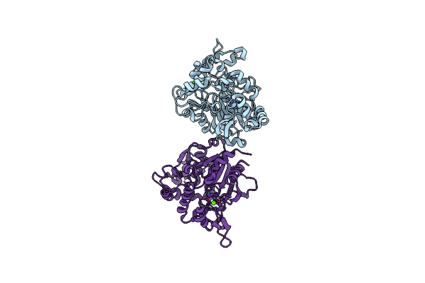 4FMP image
