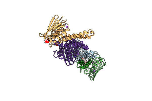 4FMT image