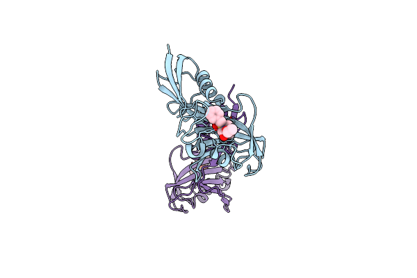 4FN2 image