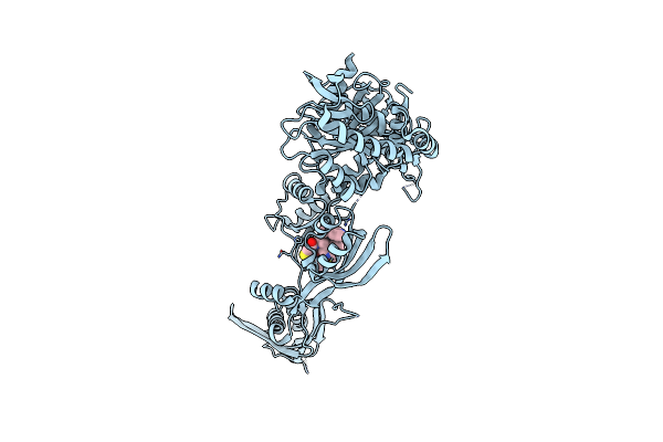 4FN5 image