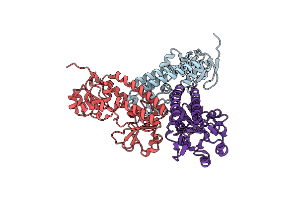 4FNA image