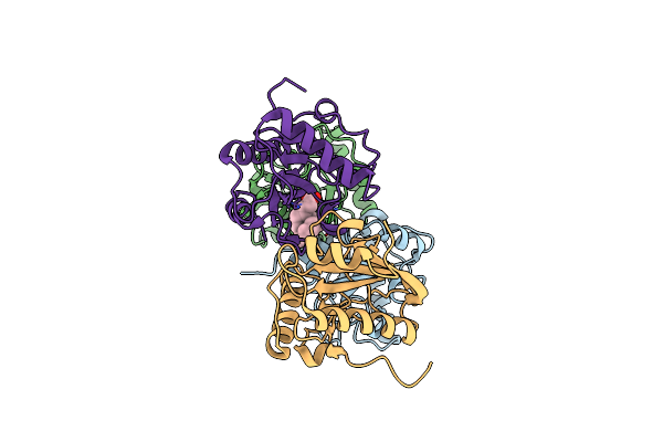4FNN image