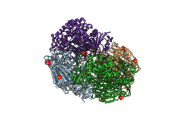 4FNP image