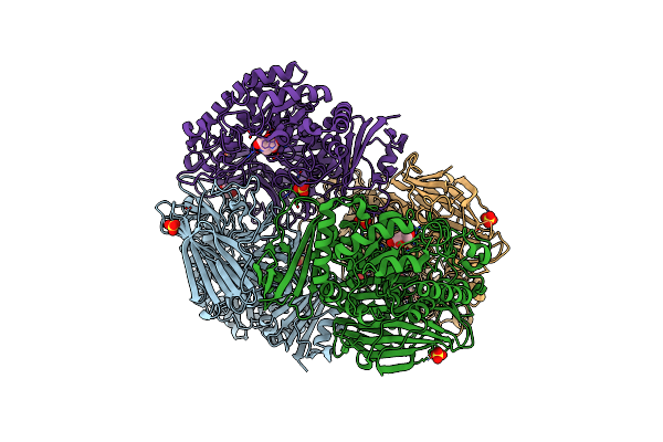 4FNS image