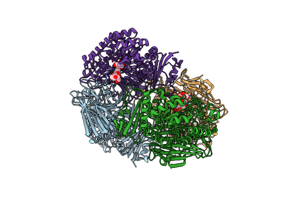 4FNT image