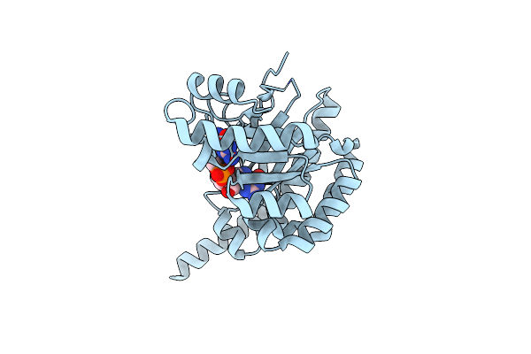 4FOJ image