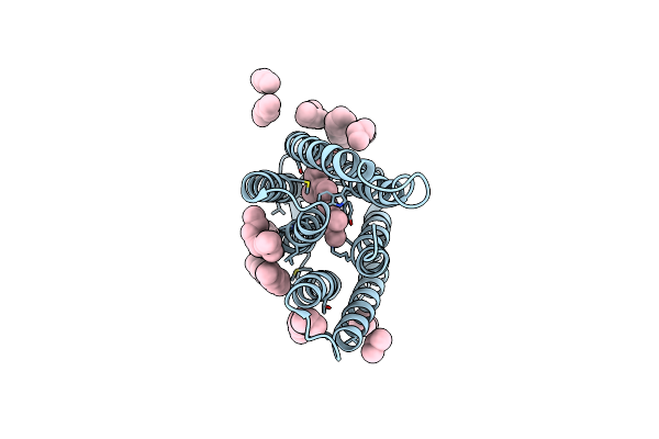 4FPD image