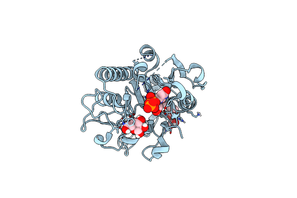 4FQW image