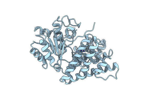 4FR2 image