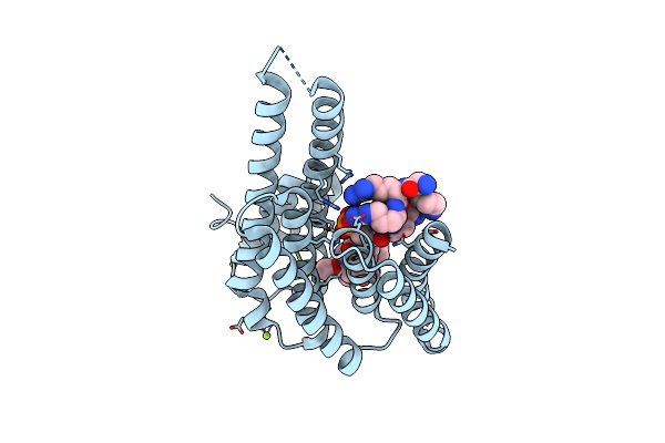 4FR3 image