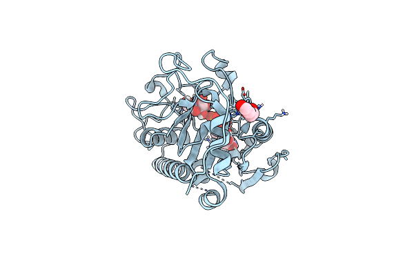 4FRA image