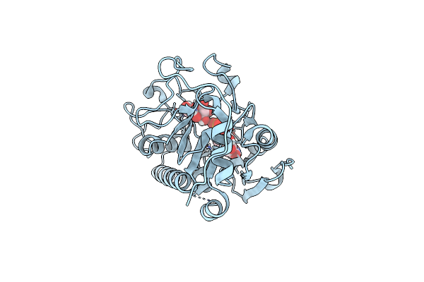 4FRB image
