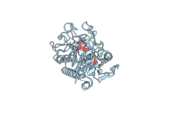 4FRD image