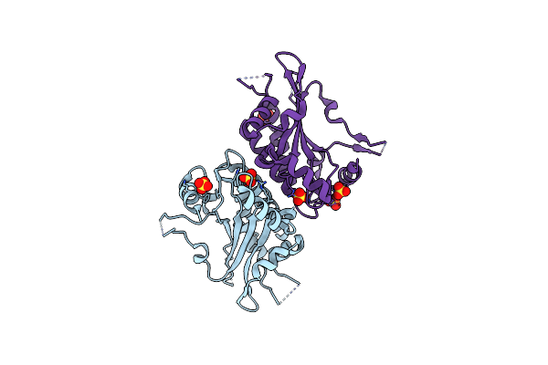 4FRF image