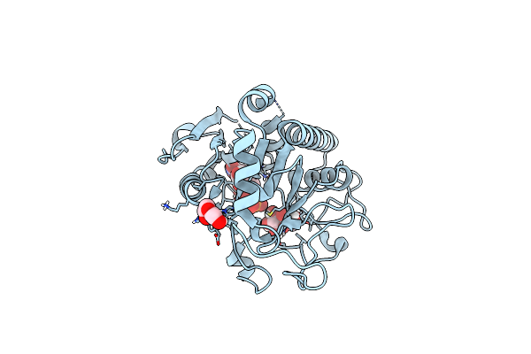 4FRH image