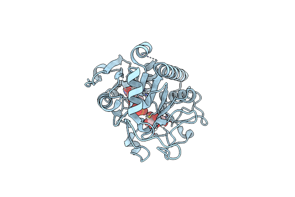 4FRL image