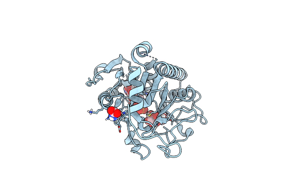 4FRO image