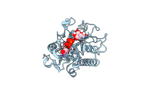 4FRP image