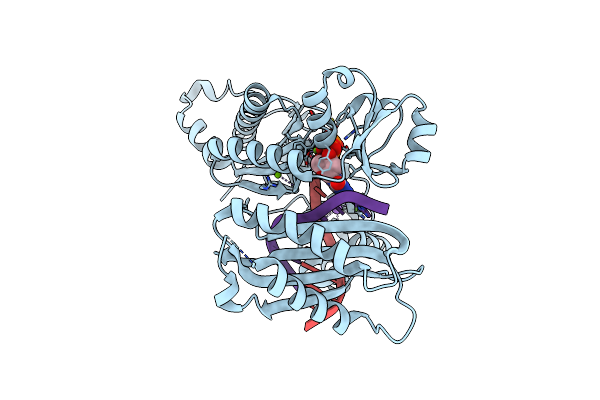 4FS2 image