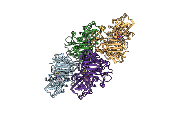 4FSL image