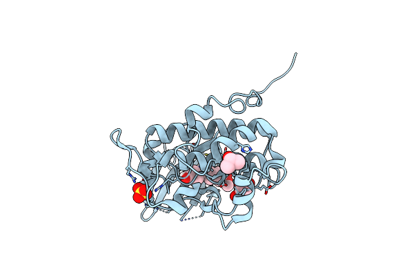 4FSM image