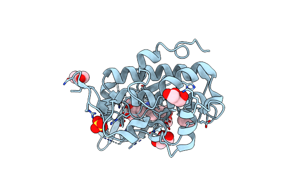 4FST image