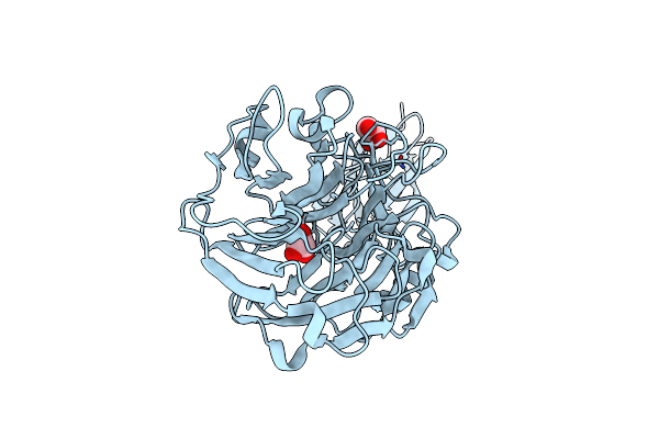 4FTD image