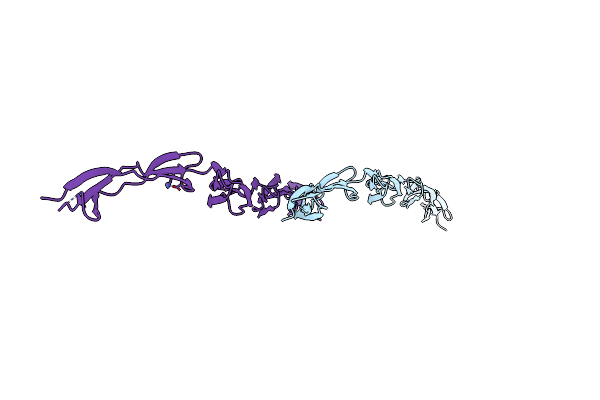 4FUP image
