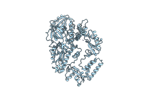 4FVM image
