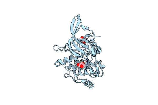 4FVP image
