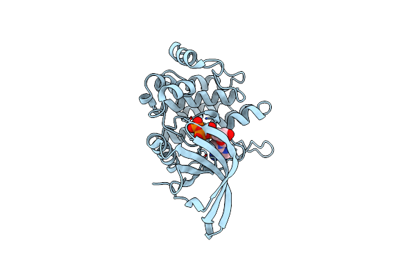 4FVR image