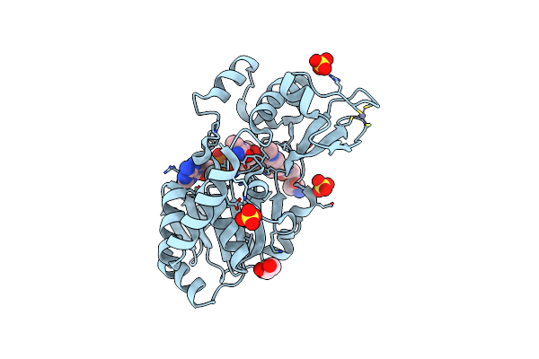 4FVT image