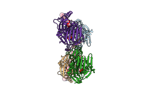 4FW4 image