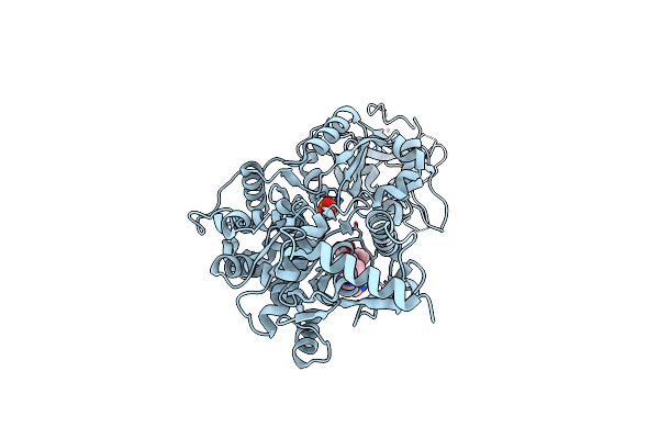 4FWD image