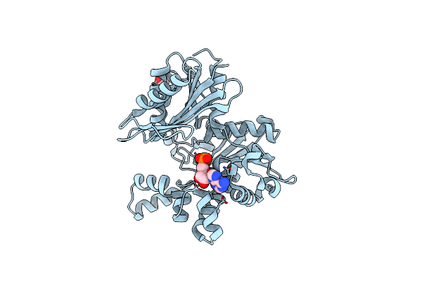 4FWK image