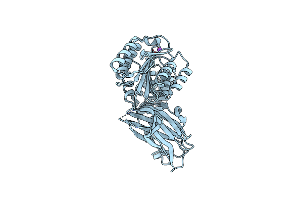 4FX5 image