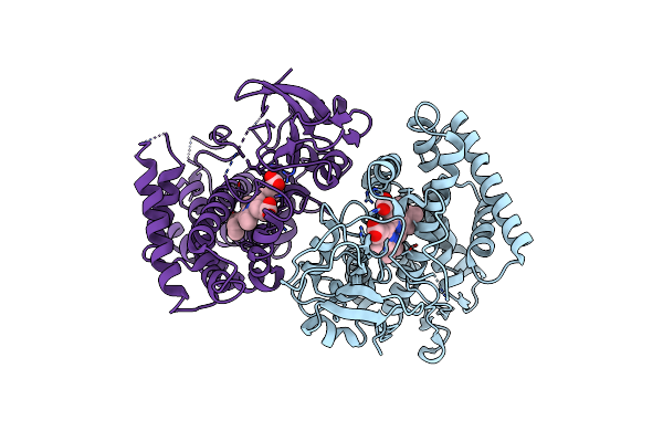 4FXB image