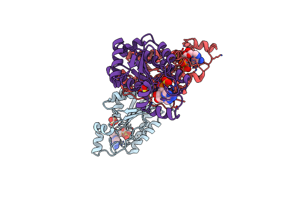 4FXP image