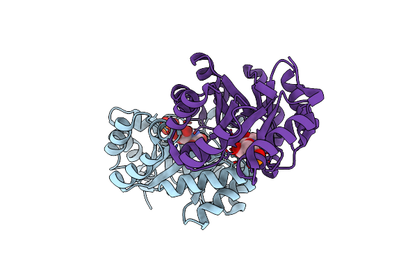 4FXR image