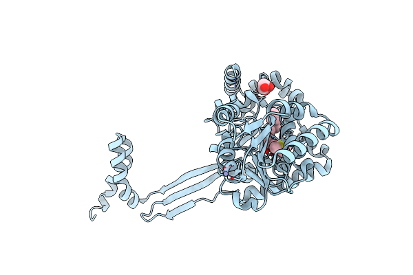 4G09 image
