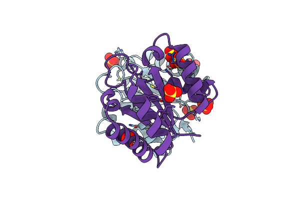 4G0M image