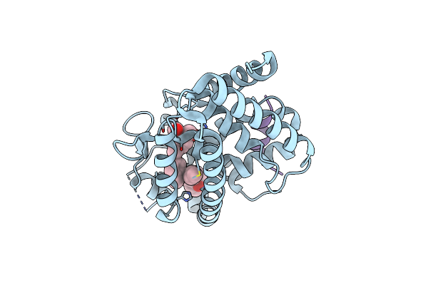 4G1D image