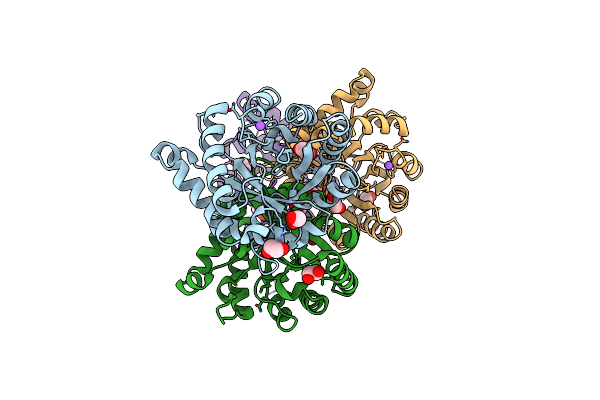 4G1K image