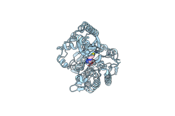 4G1P image