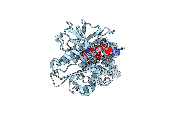 4G1V image