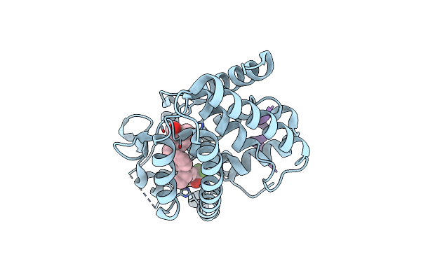 4G2H image